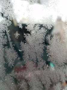 frostcrystalsjan19